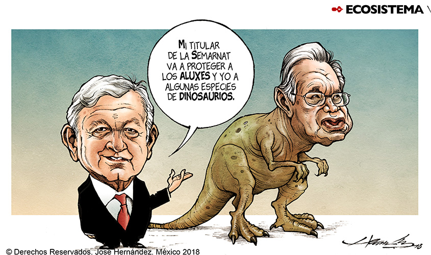 Ecosistema